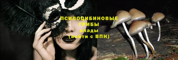 эйфоретик Аркадак